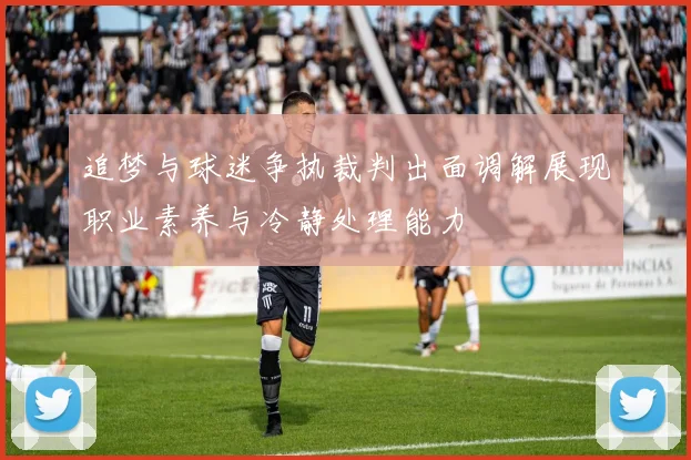 追梦与球迷争执裁判出面调解展现职业素养与冷静处理能力